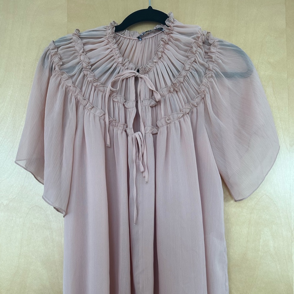 Zara sheer blouse